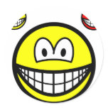 Angel and devil on shoulder smile   sticker_sheets