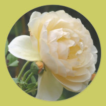 Sticker Sheets - Beautiful Rose stickers