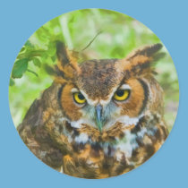 Sticker with Great Horned Owl stickers