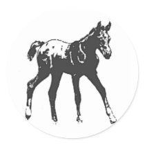 STICKERS--BLACK BLANKET APPALOOSA FOAL by ma9168 STICKERS--BLACK BLANKET APPALOOSA FOAL