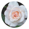 Stickers - Pale Pink Rosebud sticker