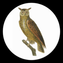 Stickers, round, Owl # 1 stickers