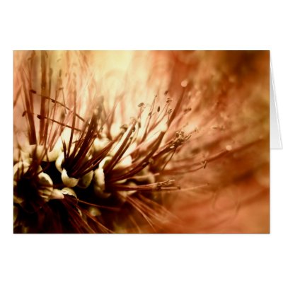 Sticking It Out Greeting Card by ACornidez