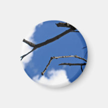 Sticks and Clouds Refrigerator Magnets
