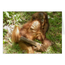 "Sticks and Stones" Animal Toddlers cards by Rebecca_Reeder "Sticks and Stones" Animal Toddlers cards