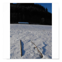 Sticks in snow posters