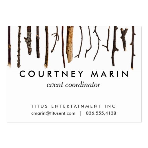 Sticks Rustic Branches Nature Shabby Chic Print Business Card (front side)