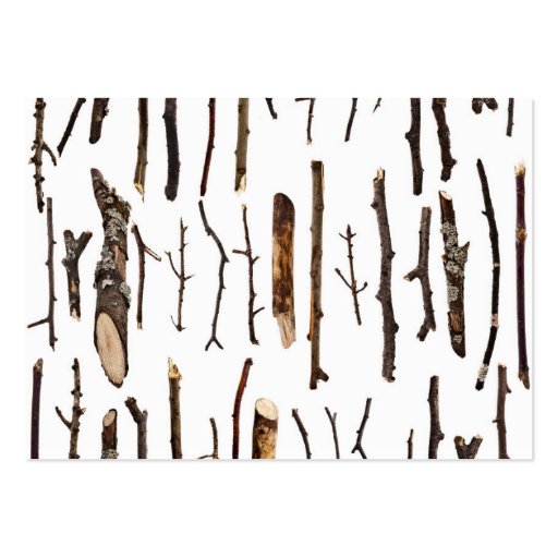 Sticks Rustic Branches Nature Shabby Chic Print Business Card (back side)