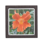 Sticky Monkey Flower premium gift boxes