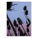 Sticky situation card by poetphoto Sticky situation card