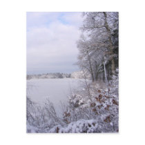 Sticky Snow 18 ~ postcard