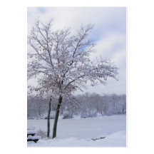 Sticky Snow 24 ~ ATC Business Card