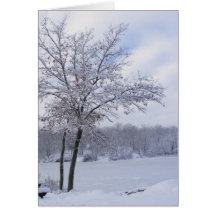 Sticky Snow 24 ~ card
