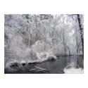 Sticky Snow 27 ~ Print by Andy2302 Sticky Snow 27 ~ Print