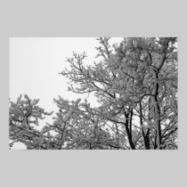 Sticky snow posters