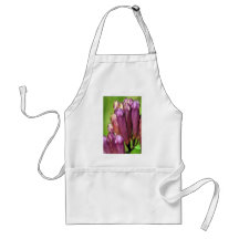 Stiff gentian apron
