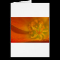 Stigma cards