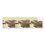 Stilferjoch (i.e., Stilfer Joch) Road, from Payerh Bumper Sticker