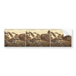 Stilferjoch (i.e., Stilfer Joch), Stelvio, II., Ty Bumper Sticker