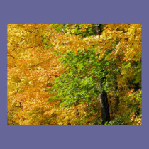 Still Changing posters