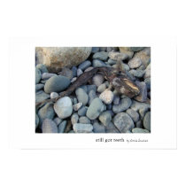 Still Got Teeth posters by scituations Still Got Teeth posters
