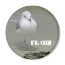 Still Kickin magnets