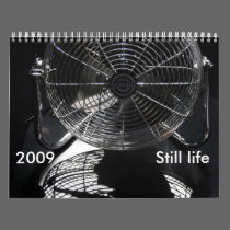 Still life , 2009 calendars