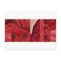 still life collage postcards by bwinedesign still life collage postcards
