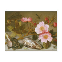 Still life depicting flowers postcard