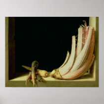 Still Life with a Cardoon