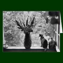 Still Life with Cat cards