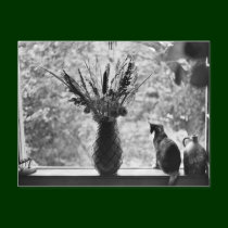 Still Life with Cat postcards