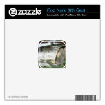 Still Life with Salmon by Edouard Manet Skin For The iPod Nano 6G