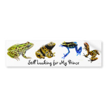 Still Looking for my Prince Bumper Sticker