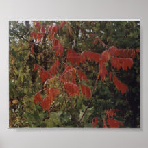 Still Seeing Red Posters