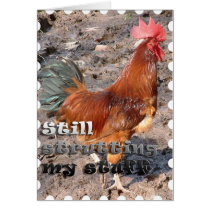 still strutting my stuff cards