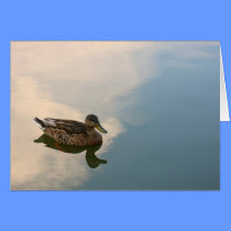 "Stillness " Greeting Card cards