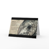 Stillness Inspiration cards