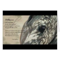 Stillness Inspiration cards