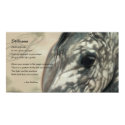 Stillness Inspiration posters