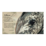 Stillness Inspiration Stillness Inspiration