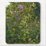 Stillness mousepads