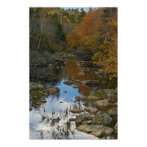 Stillness Speaking fine art canvas print
