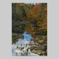 Stillness Speaking fine art canvas print posters