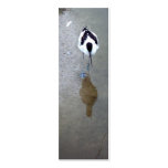 Stilt bookmark business cards