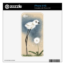 Stilted Snowy Plover Skins For The iPhone 4