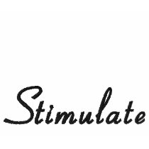 Stimulate Polo embroidered shirts by Stimulate Stimulate Polo embroidered shirts