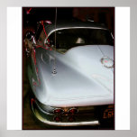 Sting Ray Print