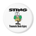 STING Traumatic Brain Injury magnets