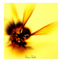 Stinger 4 posters by stacy_taylor Stinger 4 posters